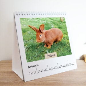 Calendrier de Bureau 2026 - Association Au Bazar des NAC