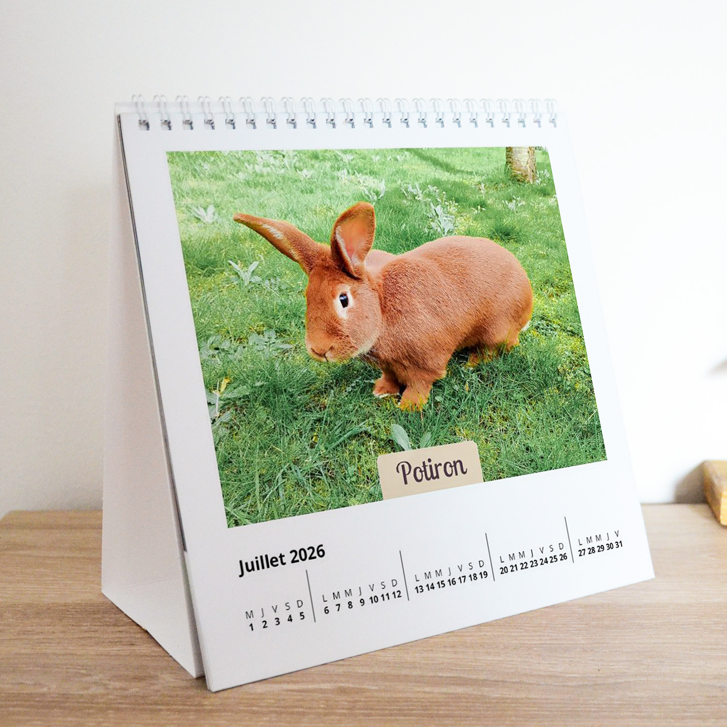 Calendrier de Bureau 2026 - Association Au Bazar des NAC