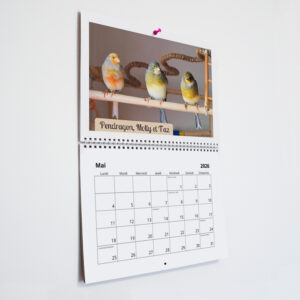 Calendrier mural 2026 - Association Au Bazar des NAC