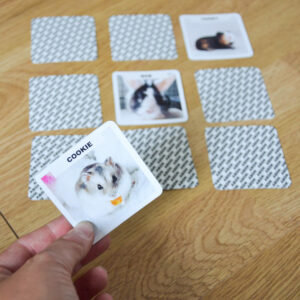 🃏 Jeu du Memory spécial Bazar des NAC